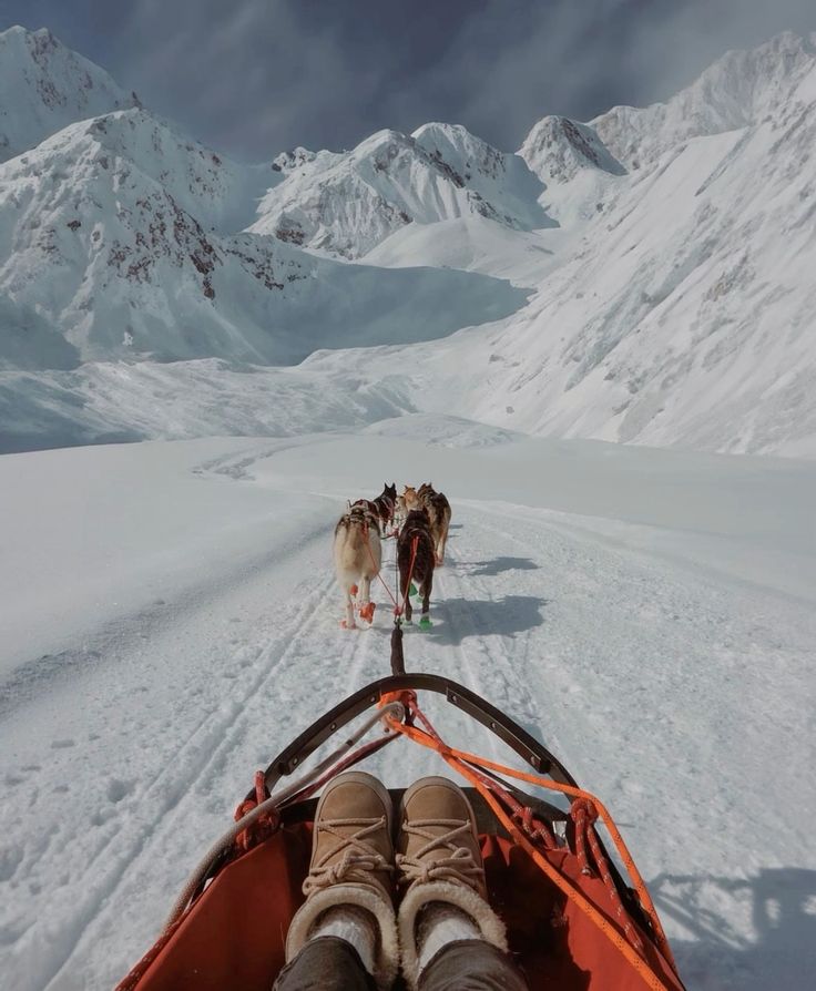 Dog-sledding through the snow in Les Menuires